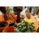 Лійка Fiskars Urban Plant Care (1,2 л) (1071307)