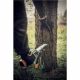 Важіль для валки дерев Fiskars WoodXpert™ M (1015438)